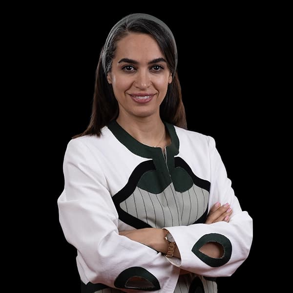 مینا معینی